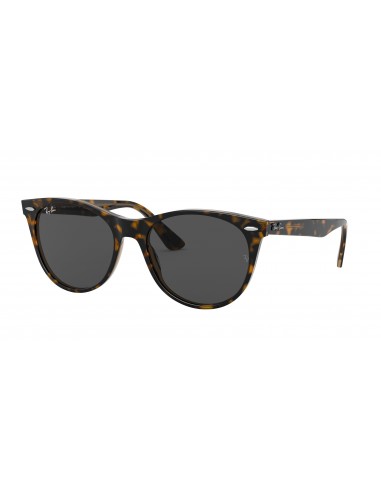 Ray-Ban Wayfarer Ii 2185 Sunglasses offre 