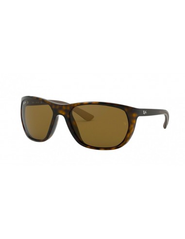 Ray-Ban 4307 Sunglasses paiement sécurisé