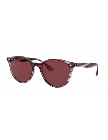 Ray-Ban 4305 Sunglasses Comparez et commandez 