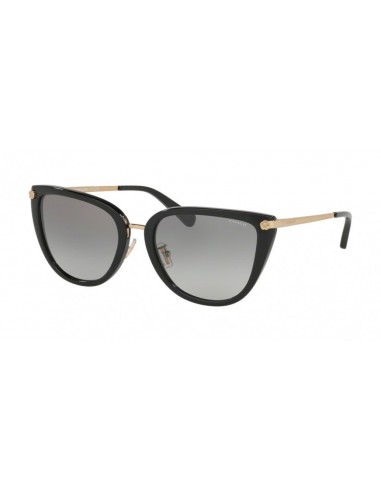 Coach L1099 8276 Sunglasses commande en ligne