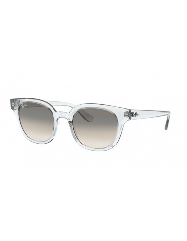 Ray-Ban 4324F Sunglasses vous aussi creer 