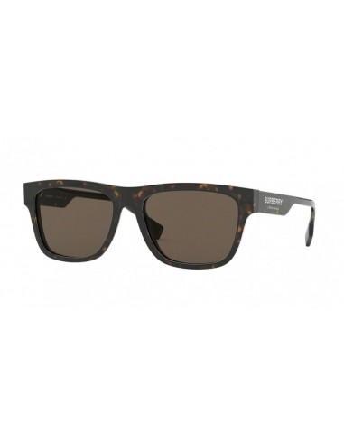 Burberry 4293 Sunglasses la chaussure