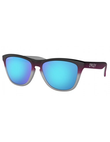 Oakley Frogskins 9013 Sunglasses Fin de série