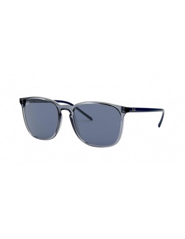 Ray-Ban 4387 Sunglasses en linge