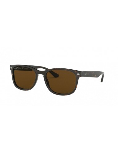 Ray-Ban 2184 Sunglasses Véritable concentré