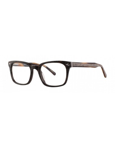 Comfort Flex CASSIUS Eyeglasses une grave pollution 